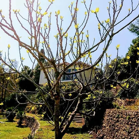 Lejlighed Grune Oase In Meernahe Ventimiglia